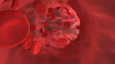 रक्त वाढीसाठी काय खावे | ५ घरगुती उपाय | hemoglobin increase food in marathi