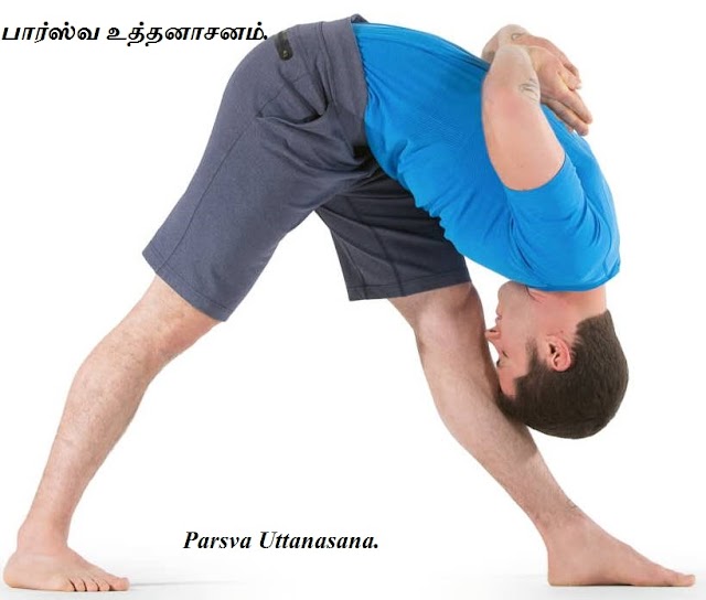 பார்ஸ்வ உத்தனாசனம் - Parsva Uttanasana.