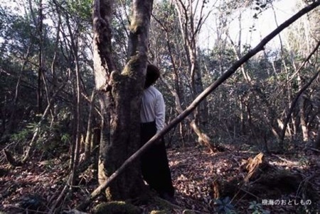 Floresta dos suicídios 07