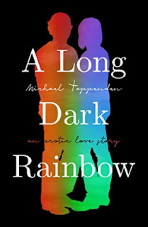 A Long Dark Rainbow, Michael Tappenden, Cover