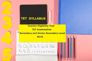 TET Syllabus || Secondary and Senior Secondary Level || IX-X and XI-XII TET || NCTE