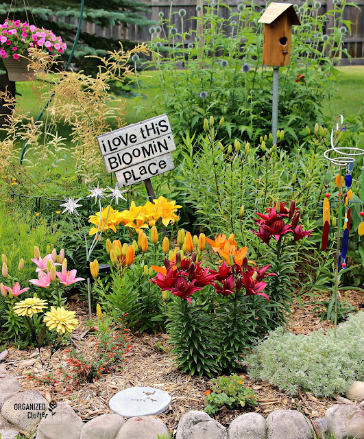 Cousin Sue's Blooming Place Tour