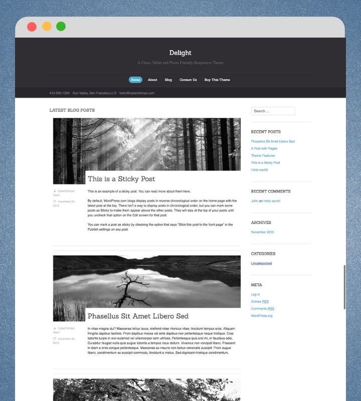 Delight (Personal Blog WordPress Theme)