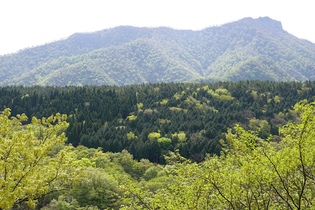 鳥取県西伯郡大山町豊房 香取の眺望