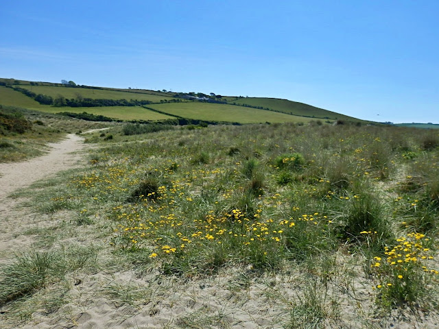 Sand dunes, Par