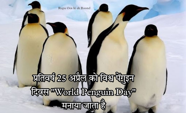 विश्व पेंगुइन दिवस 25 अप्रैल "World Penguin Day 25 April"