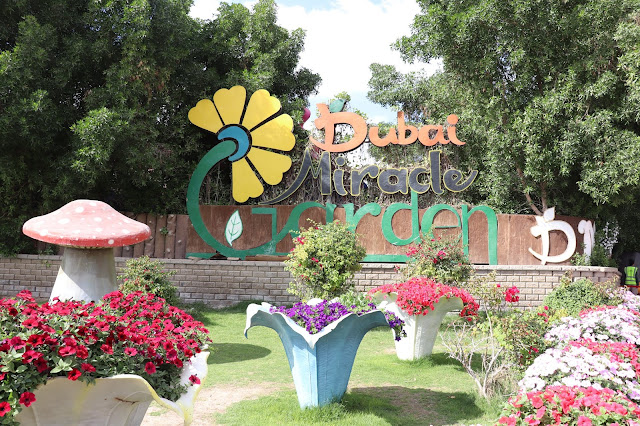 #TheLifesWayCaptures - Dubai Miracle Garden #Dubai #UAE Final Post - #PhotoReviews