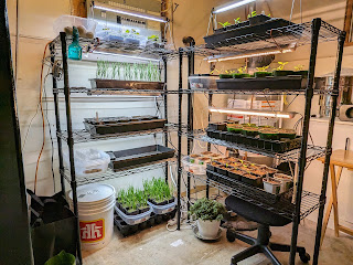 Indoor seed starting station