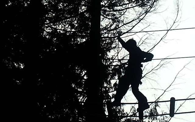 Boy walking across a bridge between two trees, in silhouette