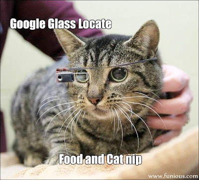 Google Glass For Cat
