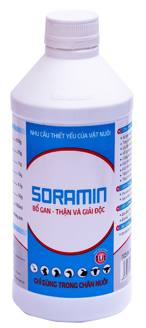 SỬ DỤNG SORAMIN ĐIỀU TRỊ BỆNH TỤ HUYẾT TRÙNG Ở GÀ