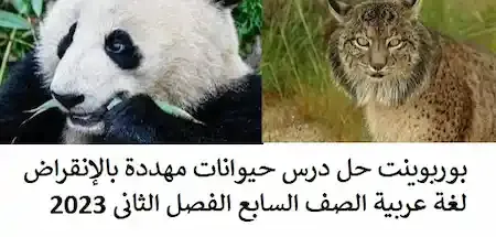 بوربوينت حل درس حيوانات مهددة بالإنقراض لغة عربية الصف السابع الفصل الثانى 2023
