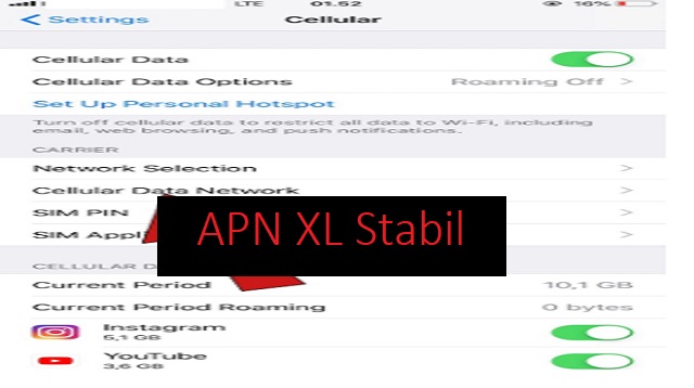 APN XL Stabil