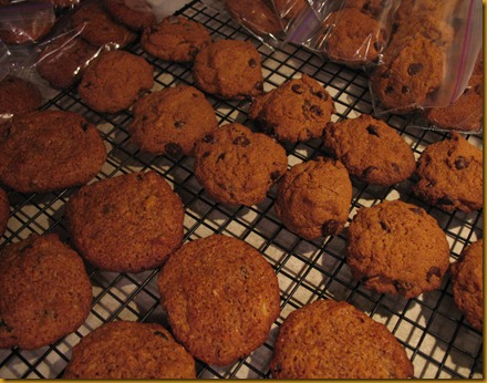 Paleo choc chip cookies & SCD monster cookies 4-2012 4