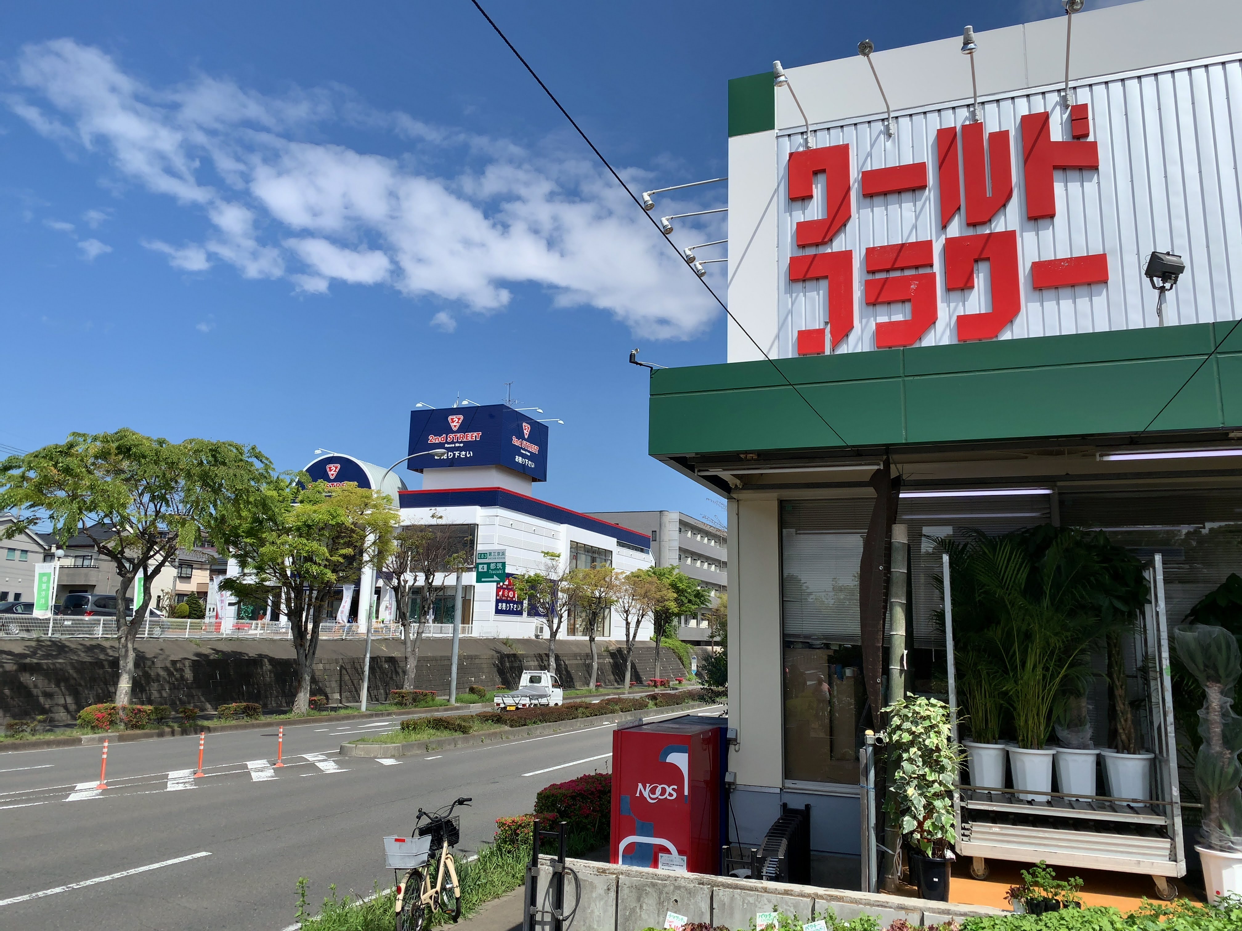 観葉植物 切り花が激安 ワールドフラワー を訪問 神奈川県内で屈指の人気お花屋さんを本気でオススメする理由 都筑ライフ 都筑区ブログ