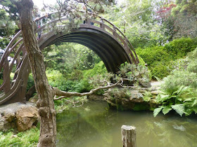 Japanese Tea Garden San Francisco