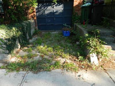 Riverdale Toronto Summer Garden Cleanup Before by Paul Jung Gardening Services--a Toronto Gardening Company