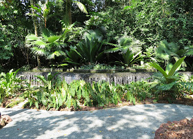 Singapore Botanic Gardens