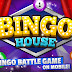 Take Pleasure in Bingo Online and Have Fun