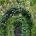 Garden door with archways of roses