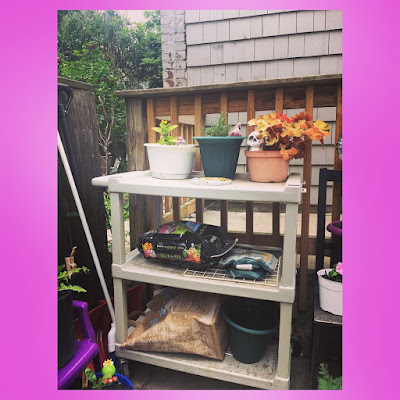 discarded plastic wheeling cart repurposed as upcycled storage for urban container garden