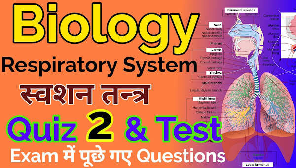 Respiratory System Important Questions,