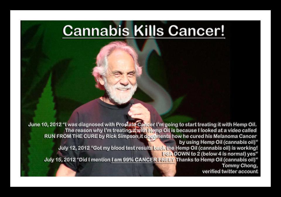 Weed Quotes Tommy Chong On. QuotesGram
