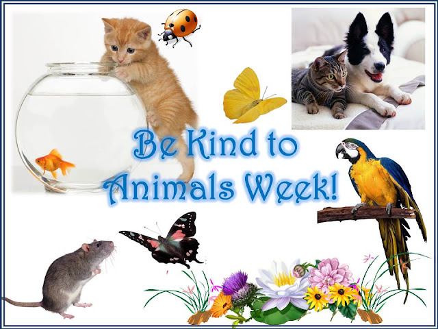 be kind to animals week