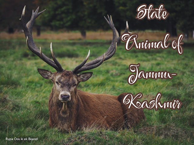State animal of Jammu and Kashmir is "Hangul/Kashmiri Barasingha"