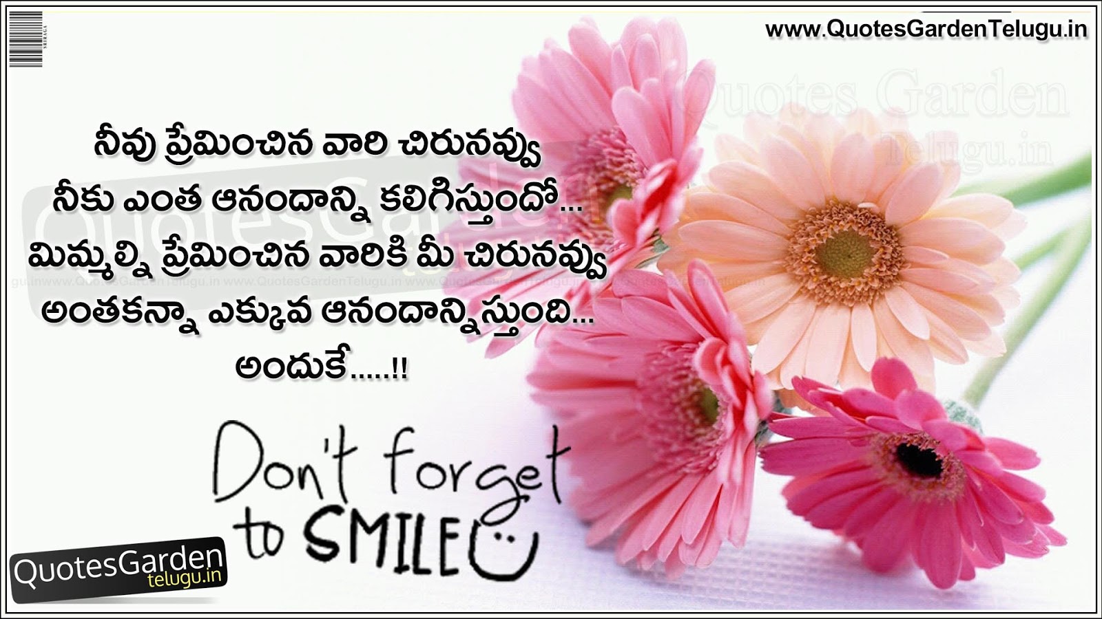 Dont forget to smile telugu quotes messages  QUOTES 