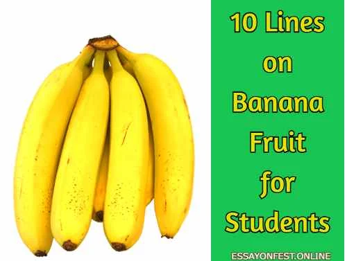 10 Lines on Banana Fruit