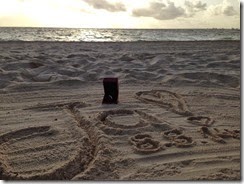 Mesut & Tatjana sunrise proposal YES