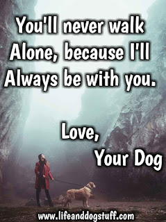 dog quotes love and loyalty, you'll never walk alone