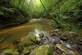 stream leading to waterfall in jungle