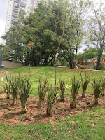 Parque Chuvisco em São Paulo