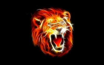 Lions hd wallpapers