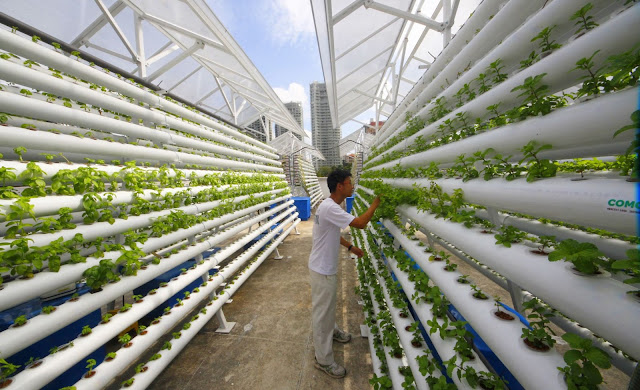 Agricultural Technology - Cooling facilities 