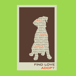 adopt a  hound