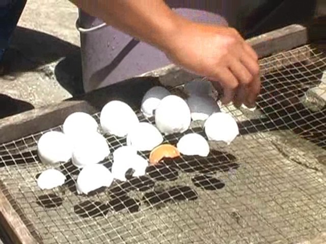  Kerajinan  dari Limbah Kulit Telur kerajinan  dari bambu