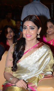 Actress Shriya Saran New Images in Silk Saree at Gautamiputra Satakarni Audio Launch  0031.jpg