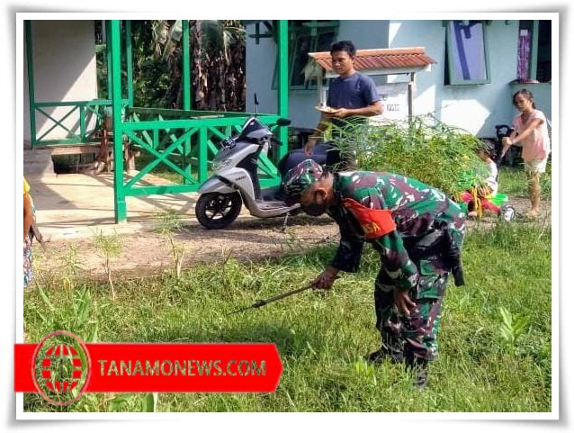 Babinsa Kalis Peduli Lingkungan Sekitar Posyandu