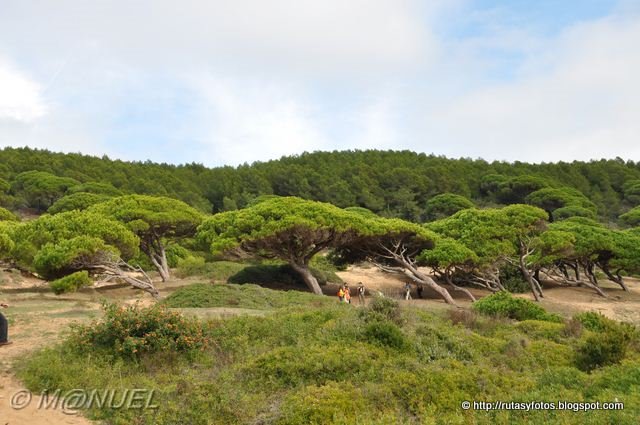 Sendero del Acantilado