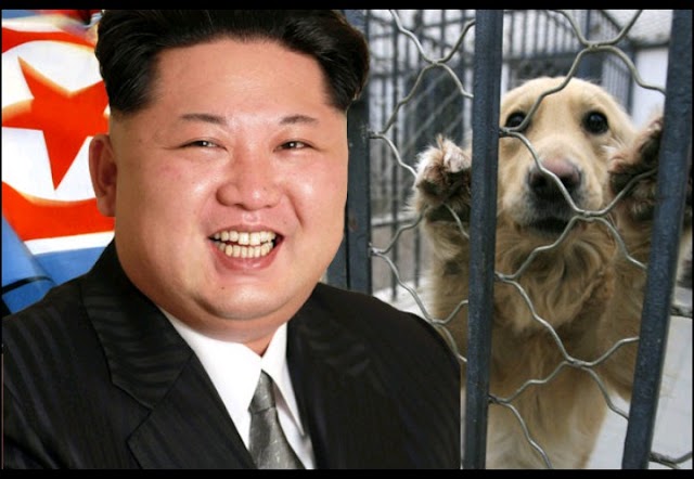 5 news 9pm:underline news:रिसर्च में खुलासा,आत्मा होती है,'इन कुत्तों को मार दो',चीन की आंख,कौन है ये आदमी? एवं अन्य