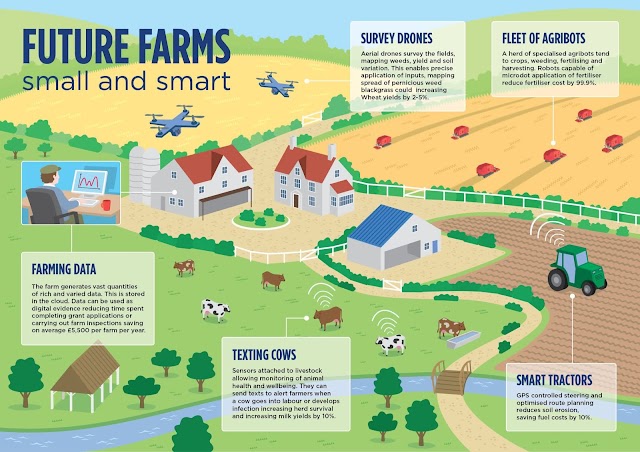 Future Farms - small and smarts