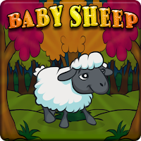 Baby Sheep Rescue From Sm…