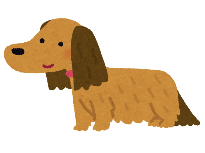 ダックスフントのイラスト 犬 長毛 かわいいフリー素材集 いらすとや