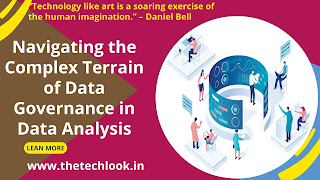 Terrain of Data Governance in Data Analysis