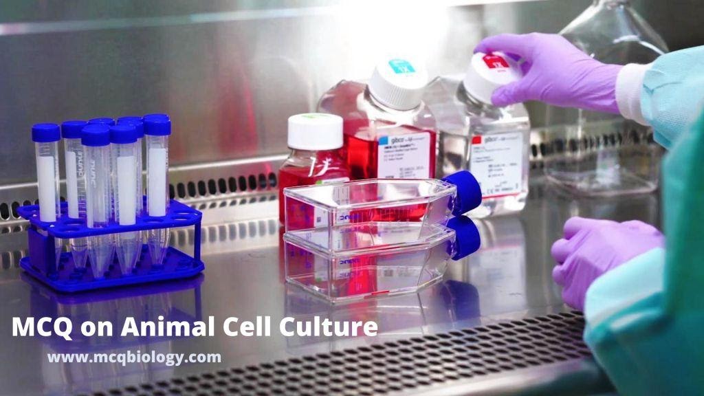 MCQ on Animal Cell Culture