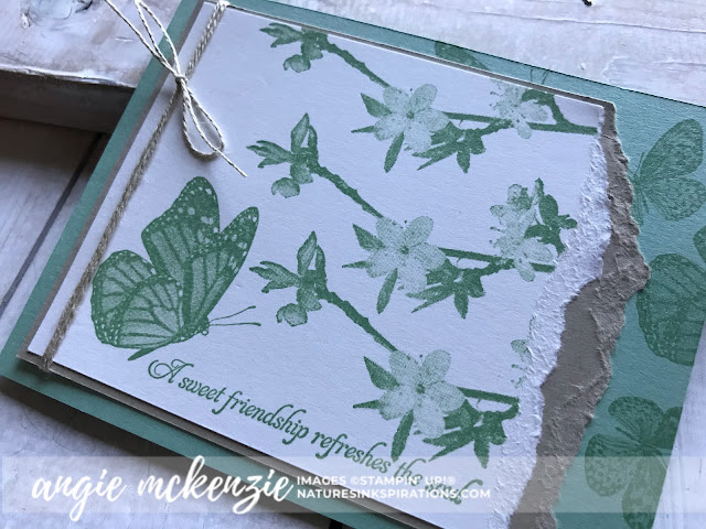 Global Creative INKspirations - New Annual Catalog | Butterfly Wishes by Stampin' Up!® | Nature's INKspirations by Angie McKenzie