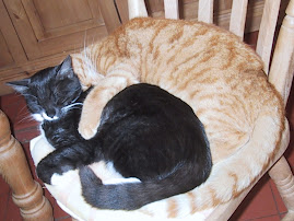 Cats Formation Sleeping